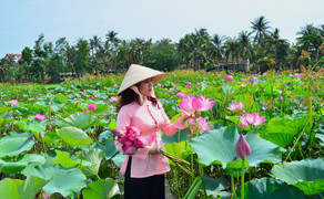 Mặc nắng nóng, du khách mê mải check-in tại đầm sen tự nhiên lớn nhất Bình Định