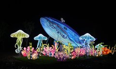 Công viên Ánh Sáng Đồi Rồng chính thức khai trương chào đón mùa hè 2024