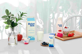 Dalatmilk - 'Di sản từ cao nguyên' chinh phục những khách hàng kỹ tính nhất