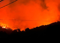 Xuyên đêm chữa cháy rừng tại Nghệ An