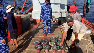 Cảnh sát biển bắt giữ tàu vi phạm, thu giữ 14 thiết bị giám sát hành trình