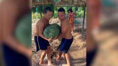 Dàn bí khổng lồ có quả nặng đến 80 kg ở Bình Định