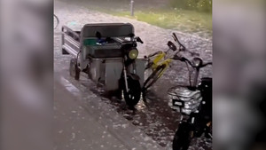 Xe điện 3 bánh không người lái 'đại náo' khuôn viên trường học