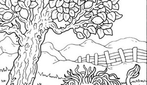 Có bao nhiêu cô gái ẩn trong hình này?