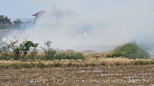 Dân đua nhau đốt rơm rạ dưới đồng, khói tấn công thành phố, quốc lộ 