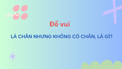 Cái gì là chân nhưng không có chân?