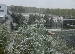 Tuyết rơi tháng 5 ở Moskva