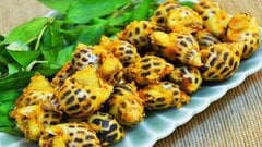 Quán ốc ngon, giá bình dân ở Gò Vấp, TP.HCM