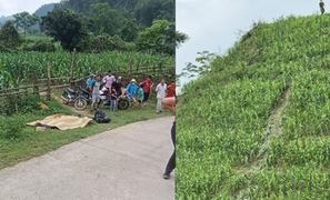 Xe máy lao xuống vực sâu ở Mai Châu, hai vợ chồng người Đức thương vong