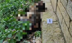 Hà Nội: Phát hiện thi thể không nguyên vẹn dưới chân cầu Long Biên