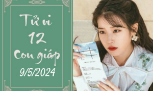 Tử vi vui 12 con giáp hôm nay ngày 9/5/2024: Tuất thích nghi, Mùi tổn thương
