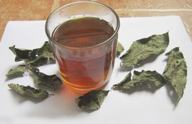 Uống nước xạ đen hàng ngày cần lưu ý gì?