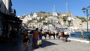 Kỳ lạ hòn đảo cấm ô tô chỉ dùng thú 4 chân đi lại