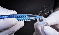 Thấy cháu không giống con trai, bà nội lén làm ADN và sốc nặng khi biết kết quả