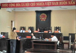 'Nữ quái' chuyên chiếm đoạt tiền cọc mua đất ở Quảng Nam lĩnh 12 năm tù