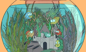 Mắt 10/10 mới nhìn thấy chiếc lông vũ trong 10 giây