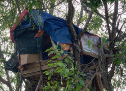 Làm lán trên cây để điều hành đường dây buôn bán ma túy qua biên giới