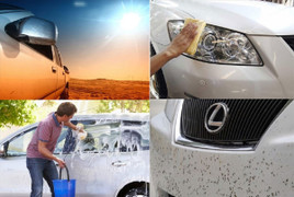 Chăm sóc ô tô màu trắng thế nào để không ố vàng?