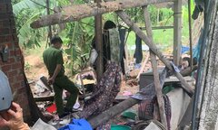 Quảng Nam: Nổ lớn ở nhà dân, 2 người thương vong