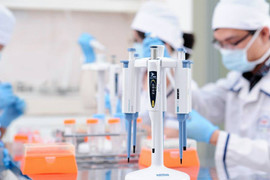 Thấy em gái không giống bố, chị âm thầm xét nghiệm ADN và nhận cái kết bất ngờ