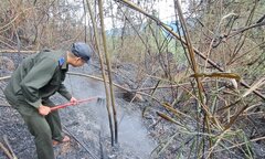 200 người nỗ lực dập cháy rừng ở Đà Nẵng