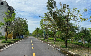 Chiêu trò 'thổi' giá đất tỉnh lẻ của 'cò' bất động sản