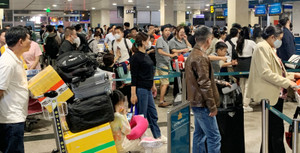 Nợ thuế gần 1 triệu đồng, giám đốc doanh nghiệp ở TP.HCM bị tạm hoãn xuất cảnh