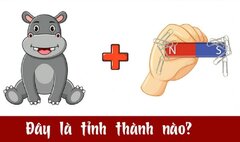 Đuổi hình bắt chữ: Đây là tỉnh thành nào của nước ta?