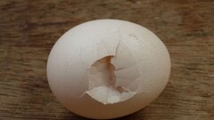Có nên ăn trứng gà bị nứt?