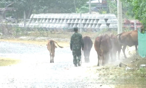 Hơn 10 năm sống cảnh nắng bụi mưa lầy, dân tái định cư kêu trời 