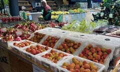 Vải thiều Thanh Hà xuất sang Úc, lên kệ siêu thị giá gần 600.000 đồng/kg