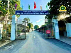 Thái Việt: Địa chỉ học lái xe ô tô chất lượng tại Hà Nội