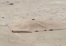 Cháu bé 6 tuổi mất tích lúc đi gửi trẻ: Thông tin mới nhất