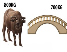 Bài toán tiểu học nhiều người lớn suy nghĩ nửa ngày chưa tìm được đáp án
