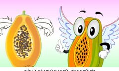 Đuổi hình bắt chữ: Câu thành ngữ nào được nhắc đến?