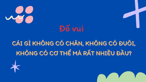 Cái gì không có chân, không có đuôi, không có cơ thể mà rất nhiều đầu?