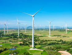 Chủ tịch Trung Nam Group Nguyễn Tâm Thịnh bị tạm hoãn xuất cảnh