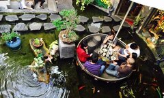 Những quán cà phê cá Koi view đẹp ở Gò Vấp, TP.HCM