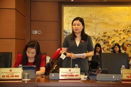 Đại biểu Quốc hội băn khoăn việc coi dao là vũ khí để kiểm soát tuyệt đối