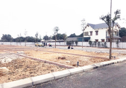 Chung cư hạ nhiệt, chuyên gia dự đoán đất nền sắp 'nổi sóng'