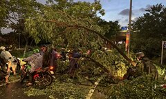 TP.HCM: Cây đổ đè người, đường 'biến thành sông' sau mưa lớn