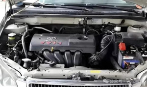 Những điểm không nên chọn khi mua xe ô tô