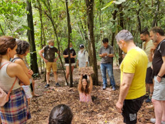 Cẩm nang du lịch địa đạo Củ Chi đầy đủ, chi tiết 2024