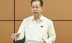 Bí thư Đà Nẵng: 'Chúng tôi chấp nhận rủi ro để mở khu thương mại tự do' 