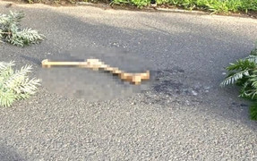 Phát hiện bộ phận giống chân người trong Khu du lịch hồ Tuyền Lâm Đà Lạt