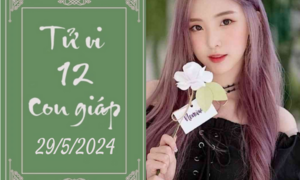 Tử vi 12 con giáp hôm nay ngày 2/6/2024: Thìn sáng tạo, Dậu cố gắng