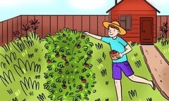 Đố bạn tìm ra lỗi sai duy nhất trong bức ảnh