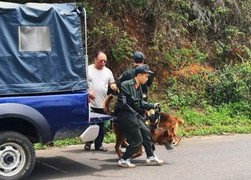 Rà soát các nhà trọ tìm danh tính người chết bất thường ở Đà Lạt