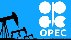 Vụ 'đặt cược' của OPEC+