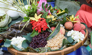 Vì sao Tết Đoan ngọ luôn có có rượu nếp và trái cây chua?